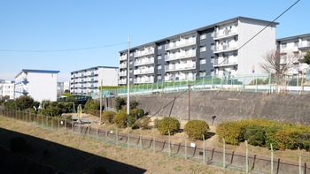 iphpne 231