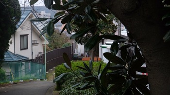 2018-11-09-11-49-35
