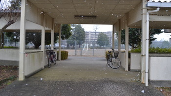 クズの本懐 031