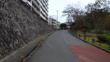 青ブタ 028