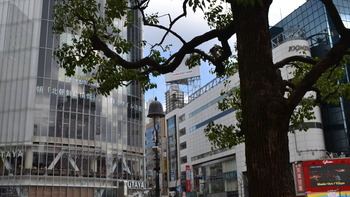 クズの本懐 027