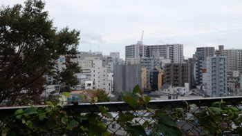 青ブタ 029