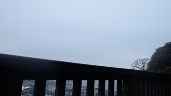 2018-11-09-10-07-52