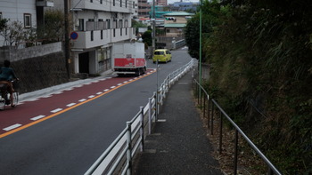青ブタ 249