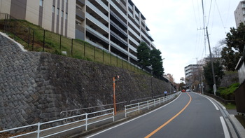 青ブタ 020