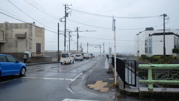 青ブタ 269