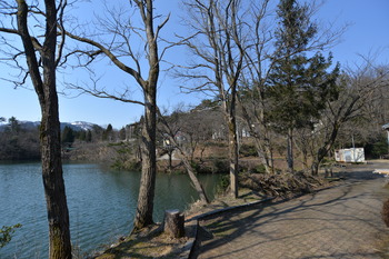 行き雛 137