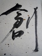 DSCN4805