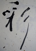 DSCN4810