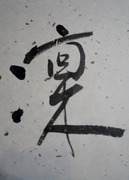 DSCN4804