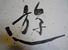DSCN4808
