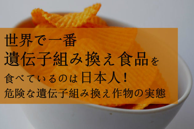 GMO 日本人