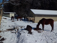 CIMG0174