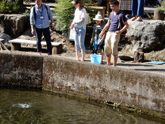 DSCN0281