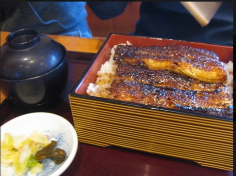 ウナギ