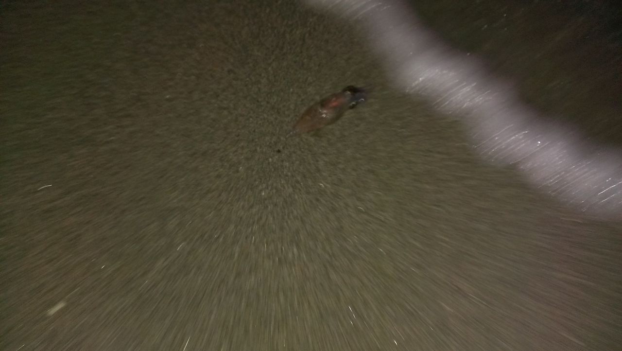 IMAG0135