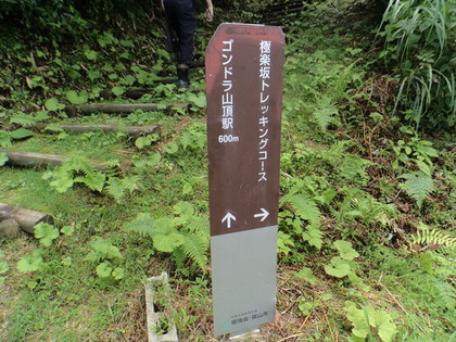 DSC03926