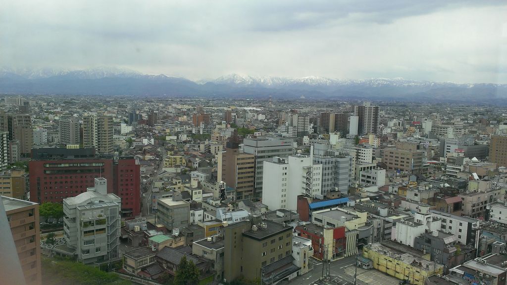IMAG0445
