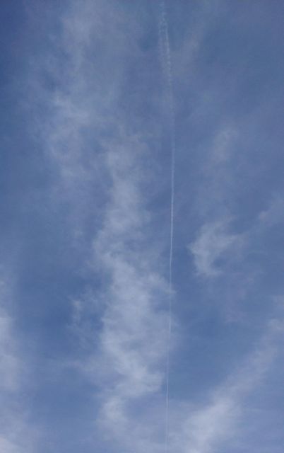 IMAG2523_1