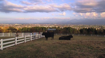 IMG_5158