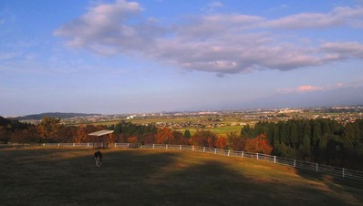 IMG_5113