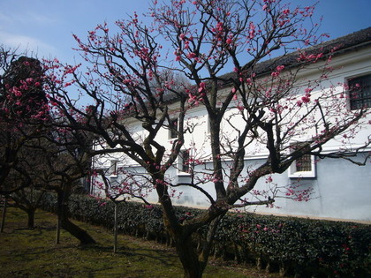 P1070868
