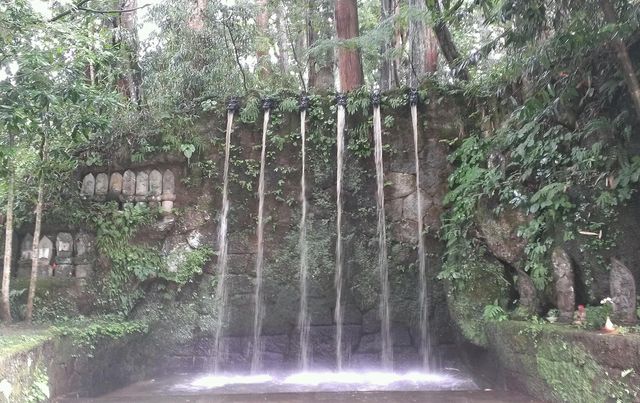 IMAG1718_1