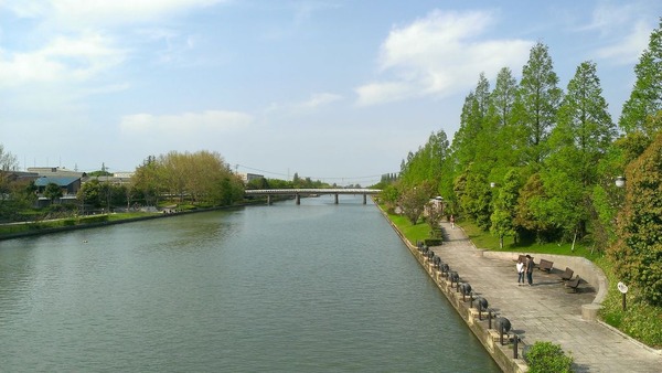 IMAG0591