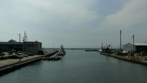 IMAG0524