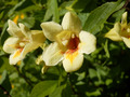 P7220423