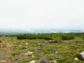 20140713_008