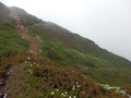 20140713_098