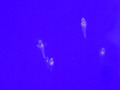 20161217-060