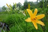 20110626_121