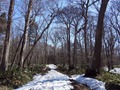 20170410-006