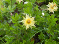 P7220464