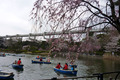 20130323_010