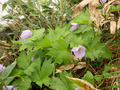 20130709__060