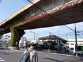 20131101_119