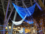 20091225_042