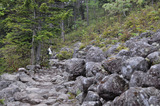 20110612_027