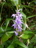 20130709__038