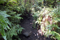 20130604_063