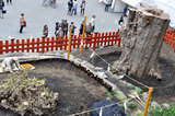 20100414_066