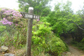 20130603_080