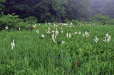 20110626_127