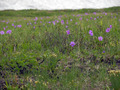 P7200256
