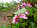 20130709__066