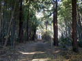 20131126_096