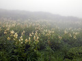 20130710_088